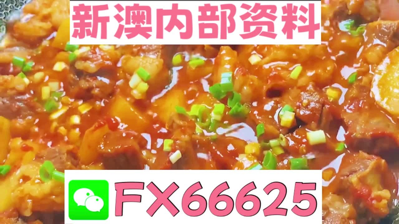 新奥门特免费资料大全管家婆料,权威研究解释定义_薄荷版91.92